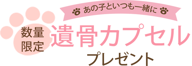メッセージ